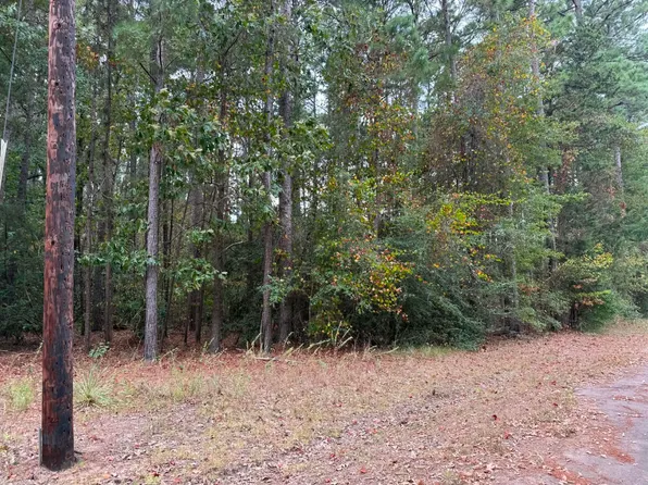Quail Dr, Jefferson, TX 75657