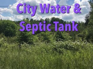 696 Reagan Valley Rd, Tellico Plains, TN 37385