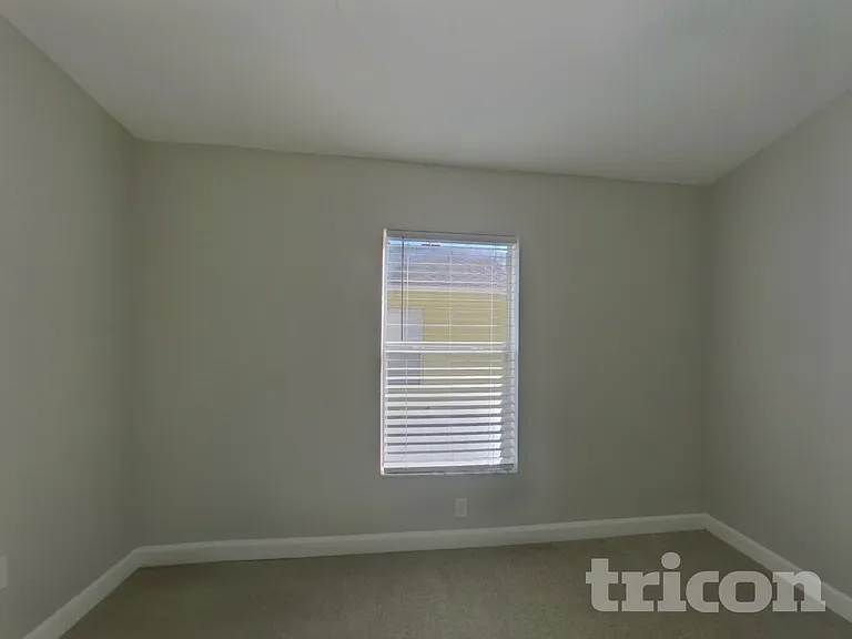 14131 Lemon Yellow Tree Ln — Photo 14