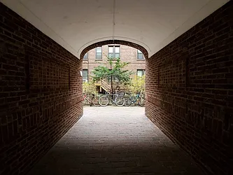 Rented by Highline Residential