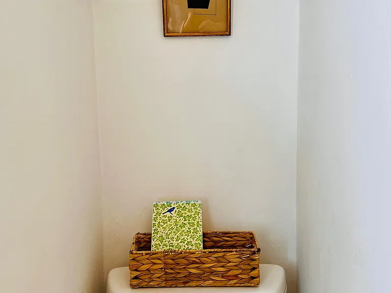 529 Rosal Ave — Photo 14