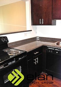1st image of 441 E Erie St APT 2102