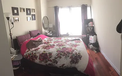 Rented by Manhattan Apartment Organization