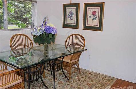4th image of 704 Camilo Ave
