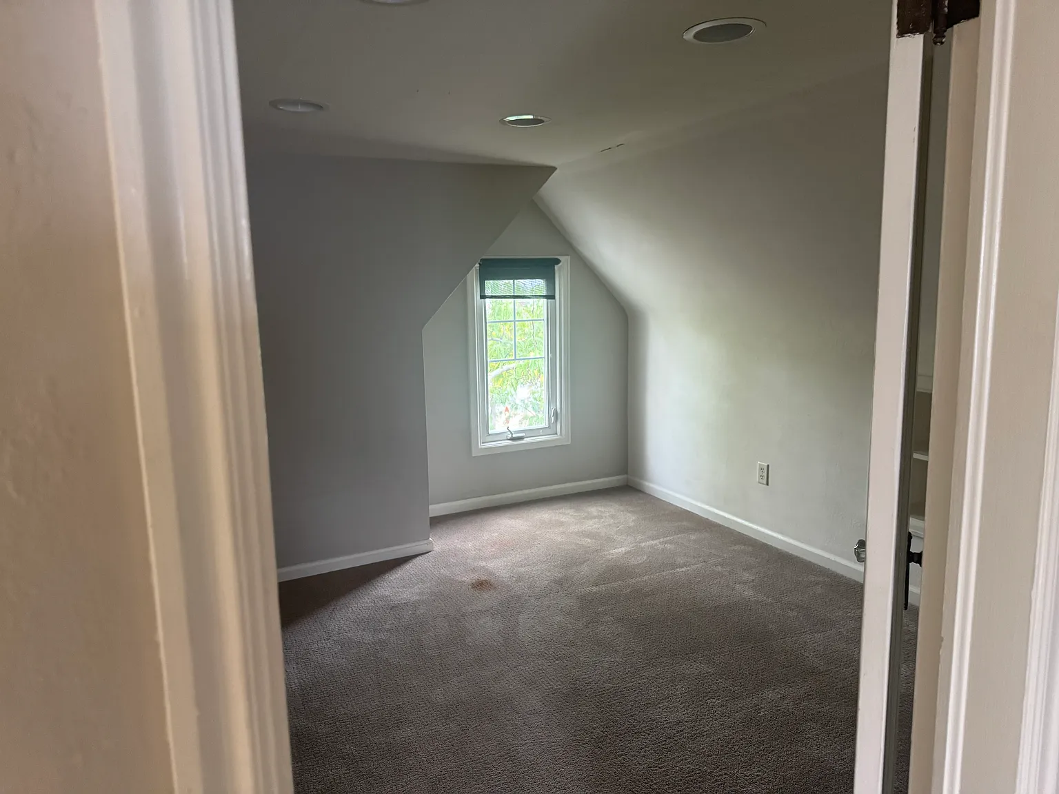 2 bed, 800 sqft, $1,745 — Photo 2