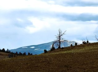 384 Cathy Dr, Hartsel, CO 80449