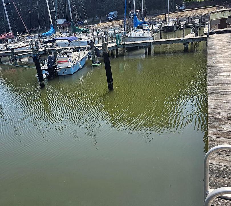 1st image of 1766 N Harbor Dr Suite 66