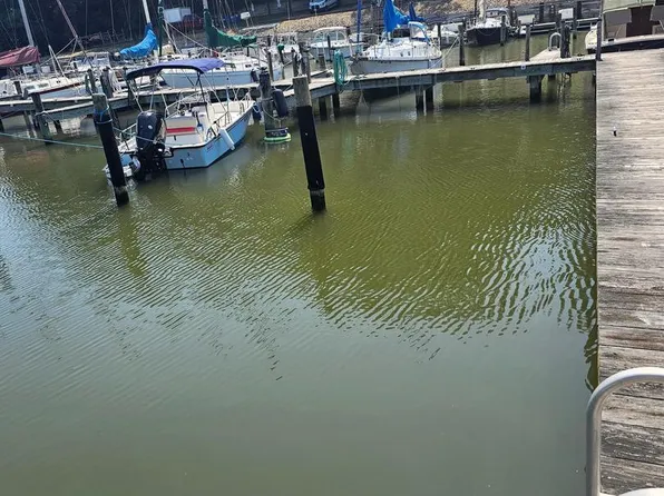 1766 N Harbor Dr Suite 66, Saint Leonard, MD 20685