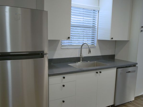 241 Brushy Creek Trl