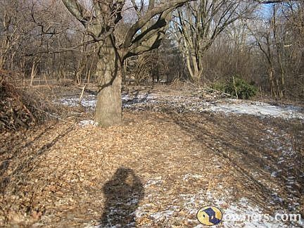 large lot, great for new construction
