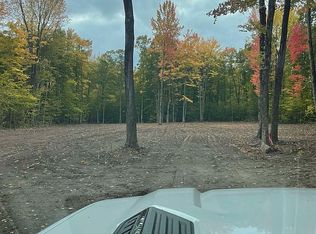 10435 Wildwood Rd, Alanson, MI 49706