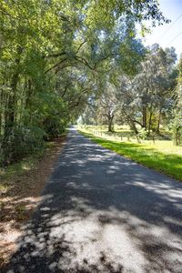 NW 160th Ave Lot 5, Williston, FL, 32696