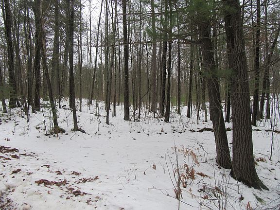 3rd image of 40 Hill N Dale Dr