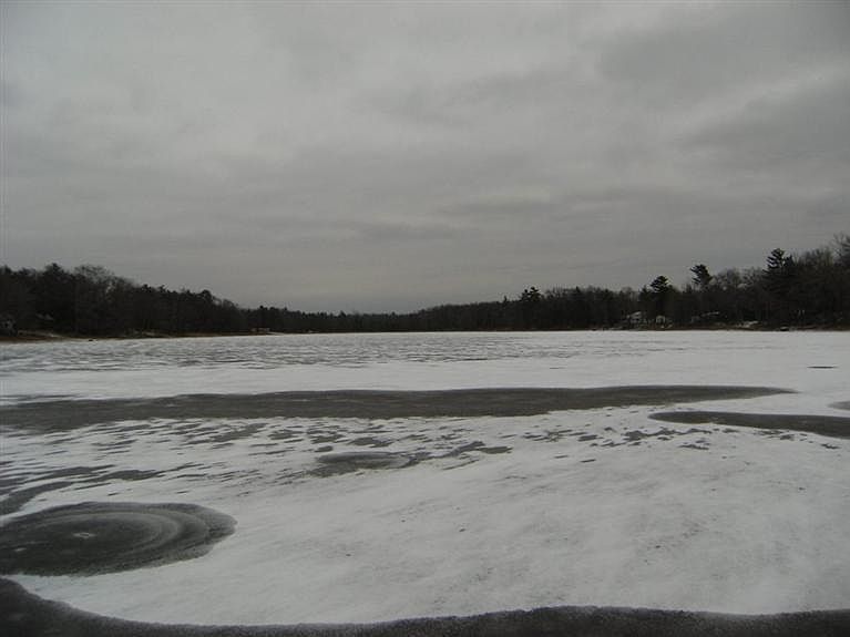 1st image of Park Ave