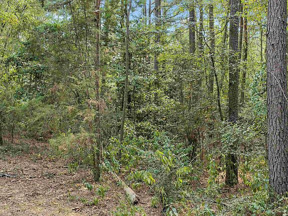 2nd image of Cass County Rd #1579