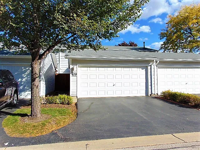 409 Dogwood Ter photo 1