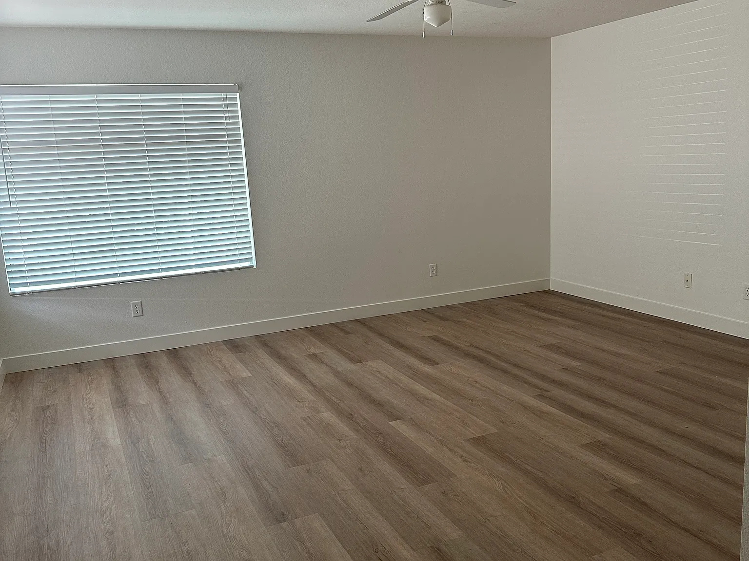 5604 Deodar Dr — Photo 3