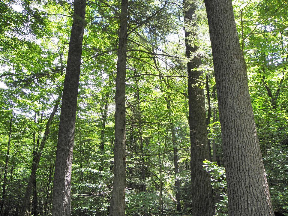2nd image of 0a East River Road