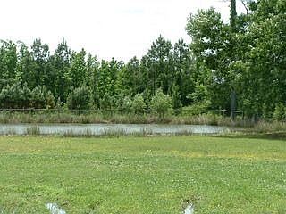 2nd image of 972 Tulls Creek Rd