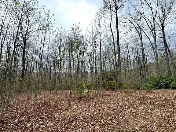 Beautiful nearly flat site in center of propeerty