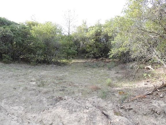 Small sloping clearing