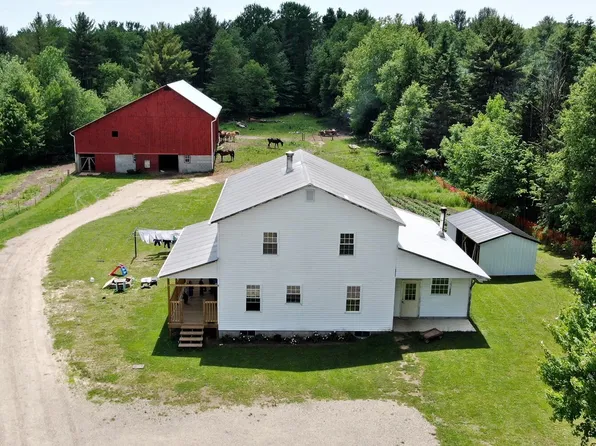 19697 Pierce Rd, Stanwood, MI 49346