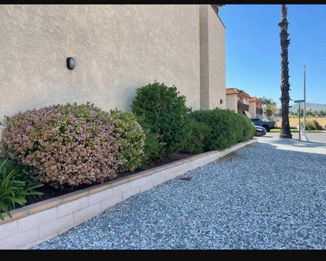 2 bed, 1100 sqft, $1,525 — Photo 3