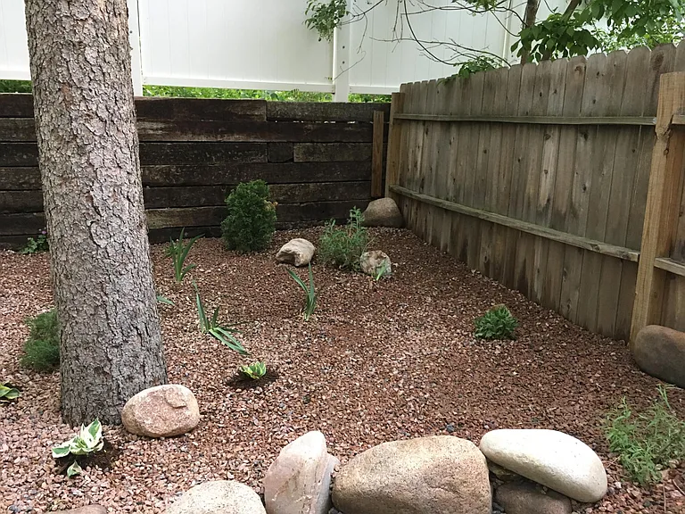 back yard