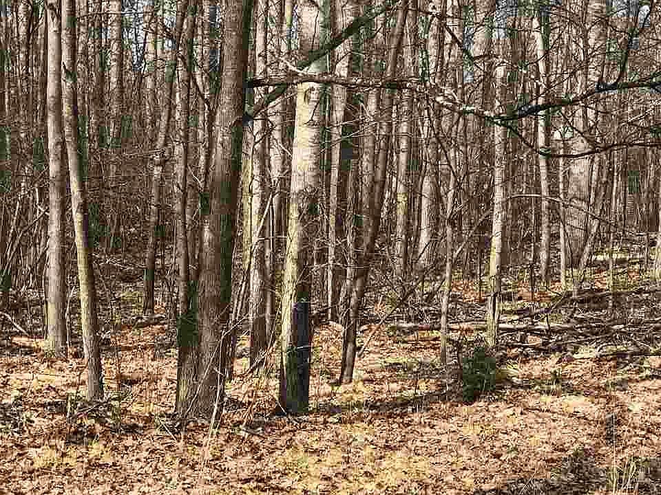 1st image of Lots 108 & Highland Dr