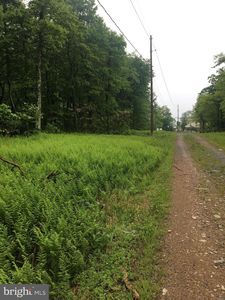 Ashwood Trl, Winchester, VA, 22602