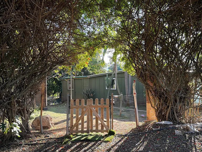 648 Ora Avo Dr — Photo 6