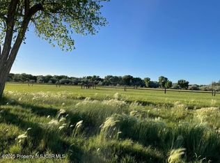 28 Road 51920, Bloomfield, NM 87413