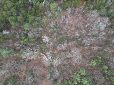 0 Browntown Rd Lot 5, Millers Creek, NC, 28651