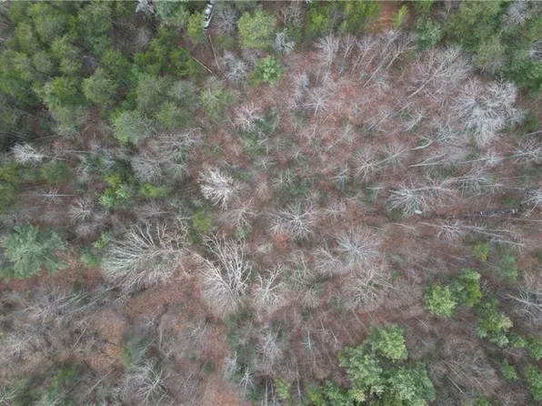 0 Browntown Rd Lot 5, Millers Creek, NC 28651