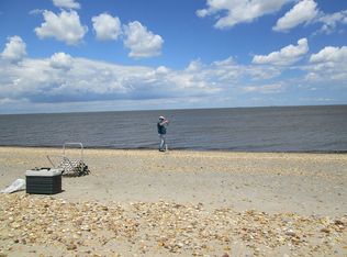 24135 Shepherd Farm Ln, Milford, DE 19963