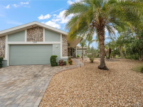 11579 W Rosa Ct, Homosassa, FL 34448