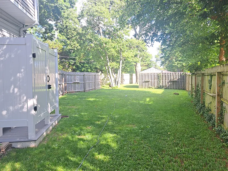 Rear yard view from house