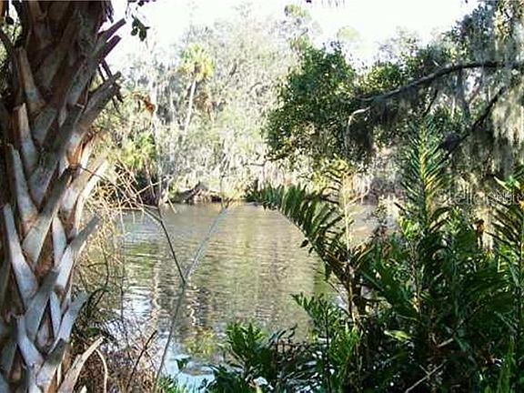 3rd image of 7806 Alafia Dr