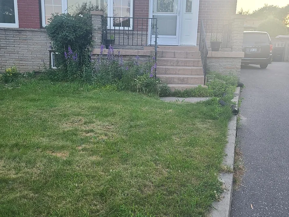 108 Rochman Blvd #BASEMENT
