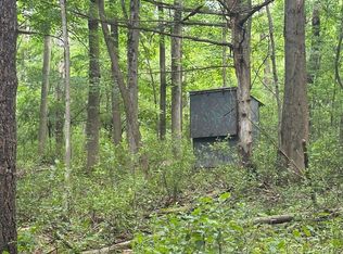 Flat Iron Rd, Hunt, NY 14846