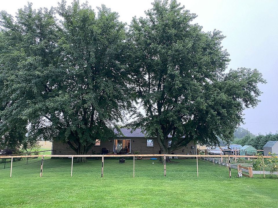 Back yard with fencing
