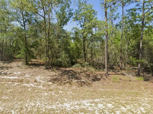 0 SW Rainbow Lakes Blvd Lot 40, Dunnellon, FL 34431