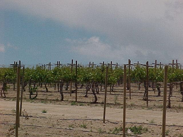 2nd image of 54151 Custer Rd