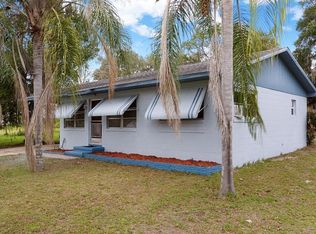 308 N Dixie Dr, Howey In The Hills, FL 34737