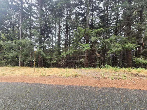 149 Otter Ln, Whitethorn, CA 95589