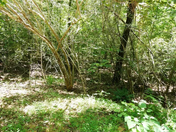 County Road 3147, Houston, AL 35572