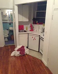 Rented by Eric Goodman Realty Corp