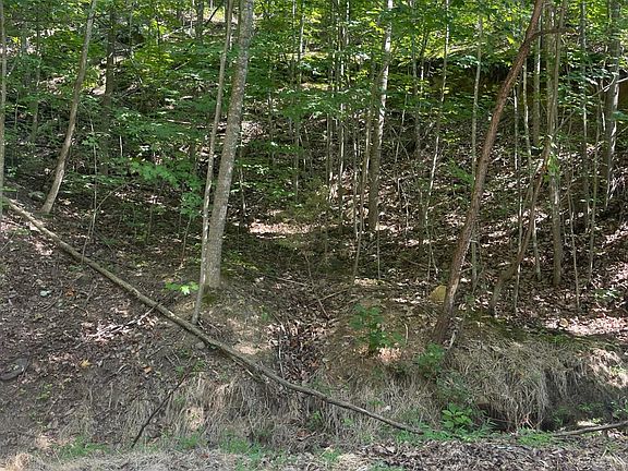 5th image of 2710 Mountain Blvd