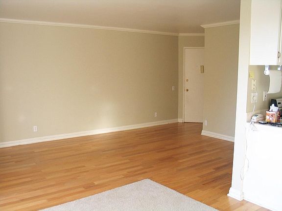 All wood floors. No carpet. (Bathroom has laminate.)