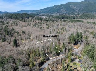 0 XX Fairway Drive, Eatonville, WA